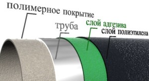 ppt