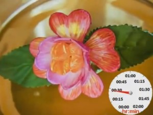 ps_flower_1475065203.jpg.814x610_q85